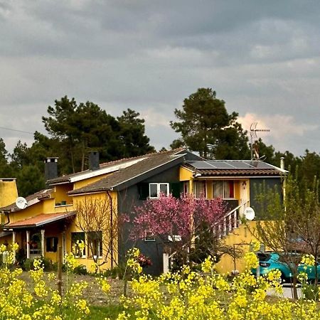 Appartamento Casa Da Oliveira Pegarinhos Esterno foto