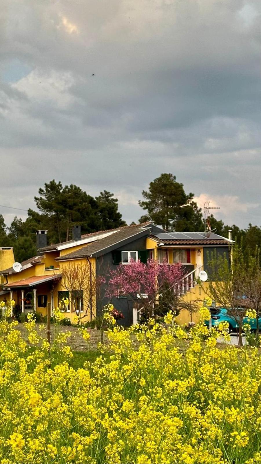 Appartamento Casa Da Oliveira Pegarinhos Esterno foto
