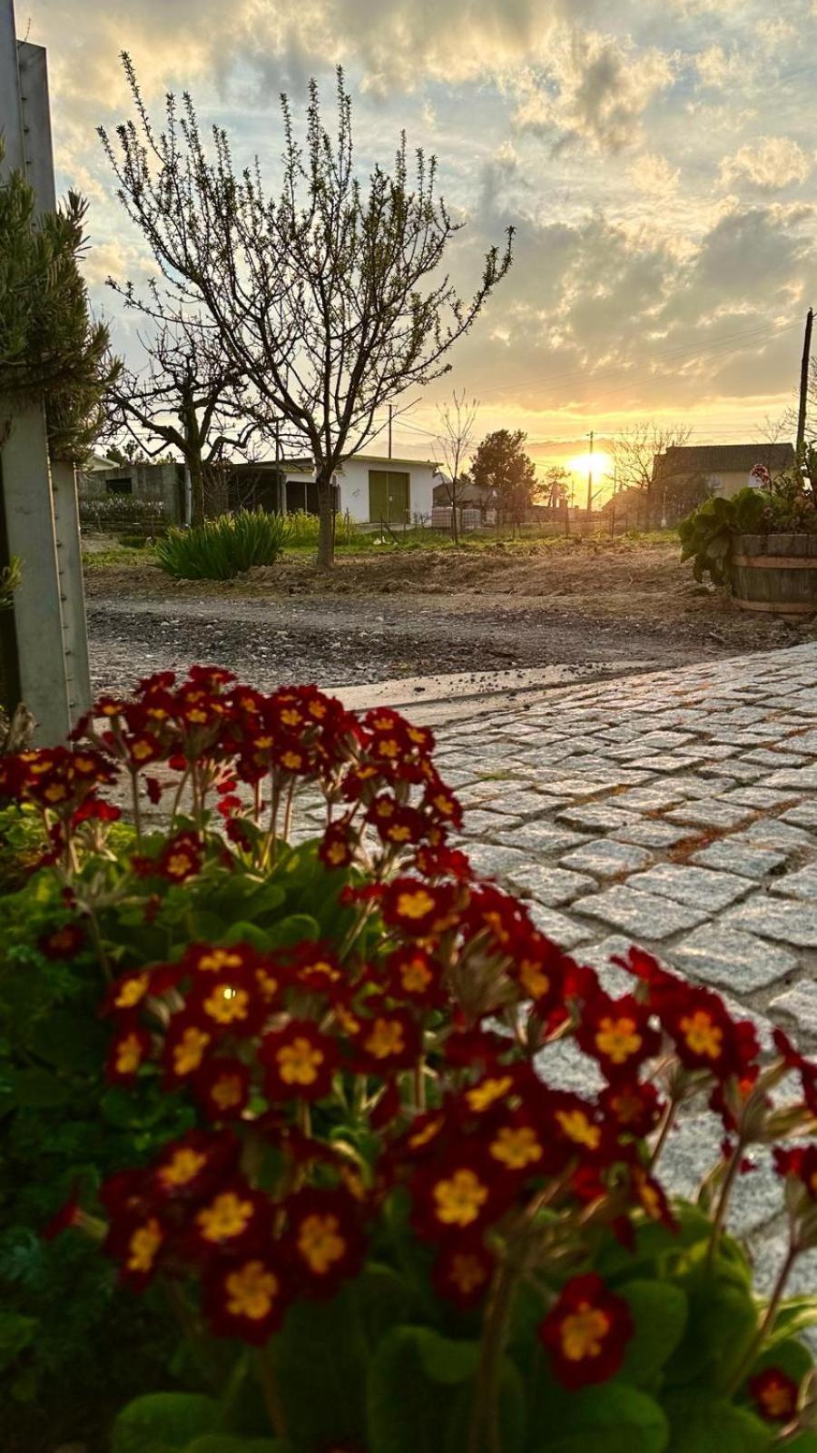 Appartamento Casa Da Oliveira Pegarinhos Esterno foto